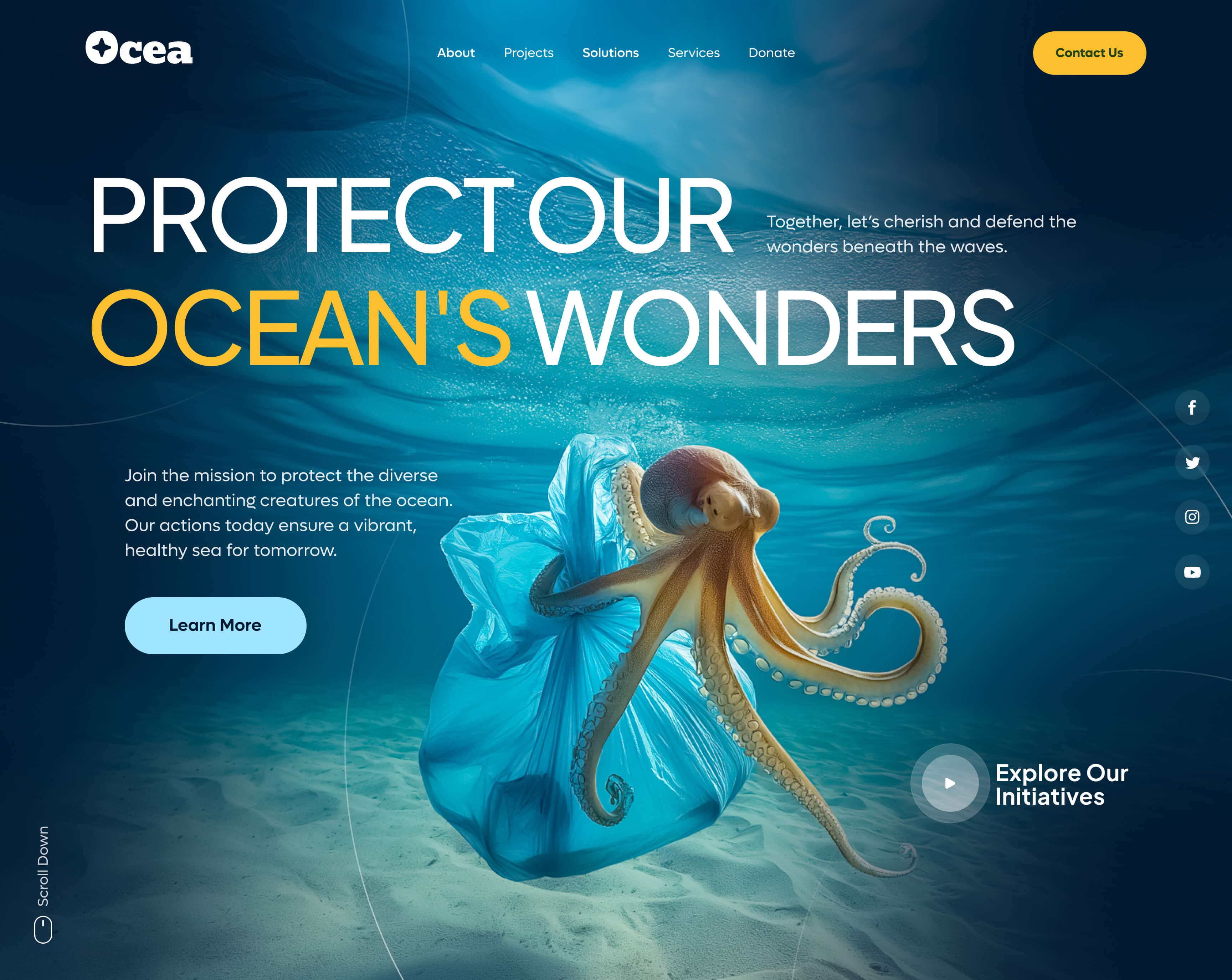 Ocean-view rentals